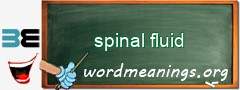 WordMeaning blackboard for spinal fluid